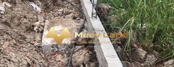 Bán mảnh đất 3200m2, giá hữu nghị chỉ 20 tỷ, ngay tại Huỳnh Thúc Kháng, Cà Mau-03