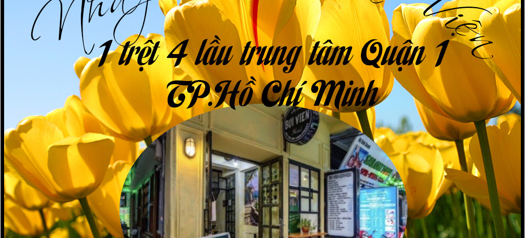 Bán nhanh rẻ nhà phố xinh 1 trệt 5 lầu Bùi Viện, Quận 1, Hồ Chí Minh chỉ 8,6 tỷ