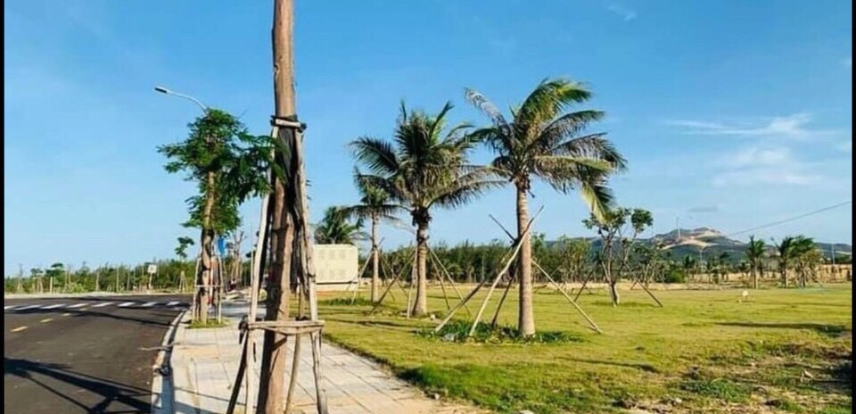 Bán đất ở tại Quy Nhơn, Bình Định