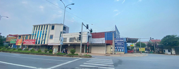 Nhà gồm 3 PN bán nhà giá bán đặc biệt chỉ 4 tỷ diện tích chuẩn 109m2 ở Hồng Tiến, Phổ Yên-02