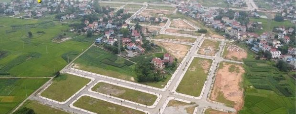 2.11 tỷ bán đất tổng diện tích là 96 m2 vị trí thuận lợi gần Phường Đồng Tiến, Thị Xã Phổ Yên-02