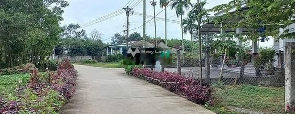 Phổ Phong, Quảng Ngãi bán đất giá chính chủ 490 triệu toàn bộ khu vực có diện tích 250m2-03