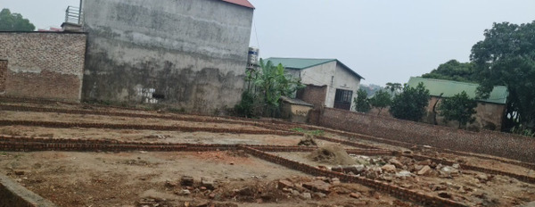 Chính chủ bán lô đất 93m2 tại Vệ Linh, Phù Linh, Sóc Sơn cho nhà đầu tư giá thương lượng-03