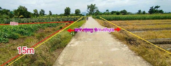 Giá cực sốc 2.4 tỷ bán đất có diện tích tổng là 464m2 vị trí đẹp ngay tại Nguyễn Văn, Tân Trụ-03