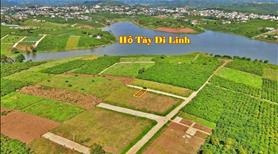 Di Linh, Lâm Đồng, bán đất giá bán giao động từ 1,2 tỷ, diện tích rộng lớn 243 m2-03