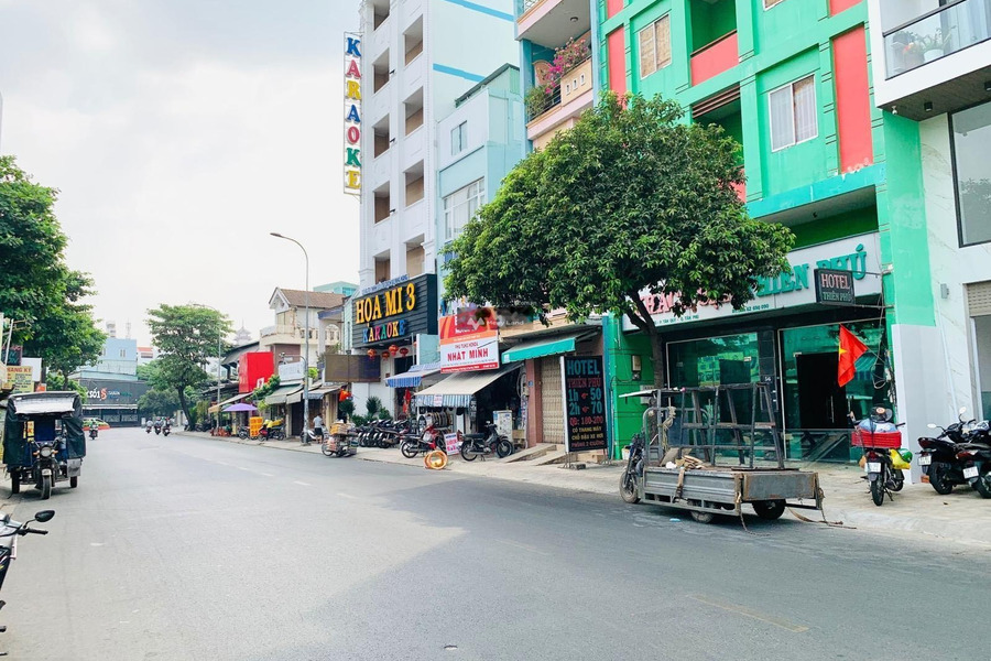 Diện tích rộng 103.5m2 bán nhà tọa lạc ngay trên Tân Hương, Tân Phú chính chủ đăng tin-01