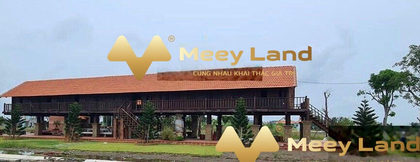 Chính chủ tôi bán mảnh đất, 90m2 giá bàn giao 810 triệu nằm trên Xã Long Cang, Huyện Cần Đước vị trí đắc địa-03