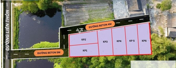 Quảng Thái, Thừa Thiên Huế bán đất giá bán siêu tốt chỉ 270 triệu, hướng Tây Nam diện tích tổng 100m2-03