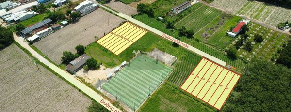 Bán mảnh đất, giá 900 triệu, có diện tích tiêu chuẩn 250m2-02