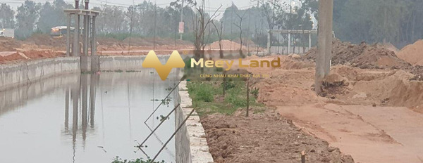 Bán nhà đất mặt đường DT303 Yên Lạc, dự án Cụm công nghiệp Minh Phương-02