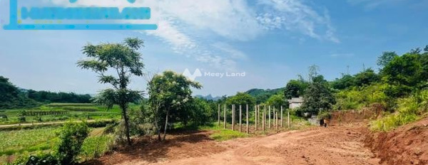 Từ 2.2 tỷ bán đất có diện tích chung 2000m2 vị trí thích hợp Nam Phong, Cao Phong-03