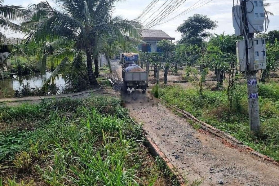 Ngay Thanh Phú Long, Long An bán đất 500 triệu với diện tích là 250m2-01