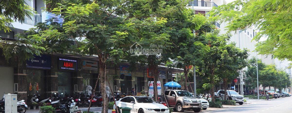 Hướng Tây - Nam, bán biệt thự có diện tích chung là 85m2 vị trí đẹp ngay trên Đường 2, Hồ Chí Minh bán ngay với giá siêu rẻ chỉ 16.3 tỷ-03