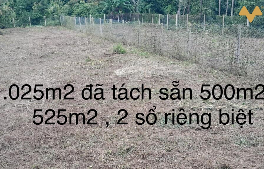 Đất thổ cư mặt tiền đường xe tải Phú Túc gần Lộ Thơ-01