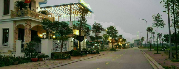 Bán đất tại Thuận Thành, Bắc Ninh-02