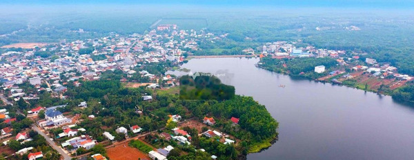 Phú Riềng, Bình Phước 330 triệu bán đất có một diện tích là 200m2-02