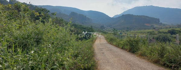 Vị trí tiện lợi Gung Ré, Lâm Đồng bán đất, giá bán êm 850 triệu diện tích trong khoảng 1000m2-02