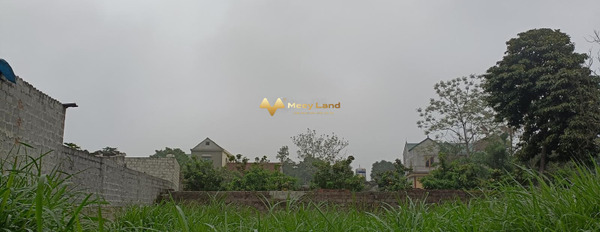 Cần bán đất tại Đường 421B, Quốc Oai, Hà Nội. Diện tích 124m2, giá 850 triệu-02