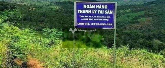 Tổng quan căn này 1 phòng ngủ, bán nhà ở diện tích khoảng 7609m2 giá bán đề cử từ 290 triệu tọa lạc ngay tại Đắk Môl, Đắk Song-02