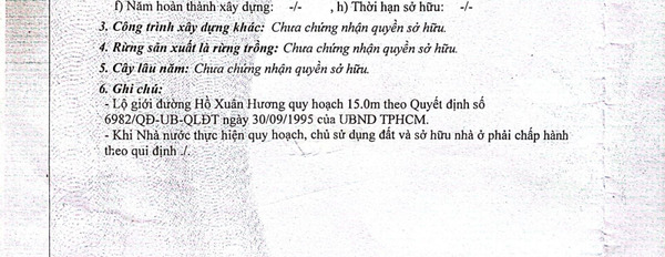 DT 240m2, bán biệt thự vị trí mặt tiền nằm tại Hồ Xuân Hương, Hồ Chí Minh giá tốt-03