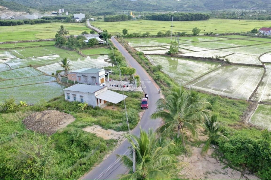 Bán đất 1.58 tỷ Diên Khánh, Khánh Hòa diện tích chung là 362m2-01
