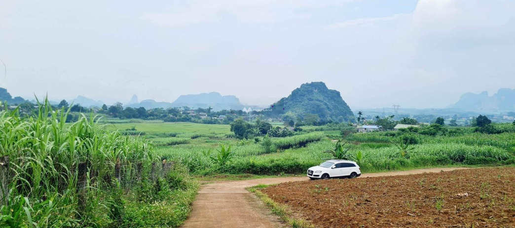 Giá thỏa thuận chỉ 2.2 tỷ bán đất Diện tích đất 2334m2 vị trí đẹp tọa lạc ở Tây Phong, Cao Phong