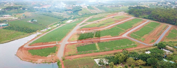 Lý Thái Tổ, Lộc Tân bán đất giá hợp lý chỉ 700 triệu diện tích chung quy 200m2-02