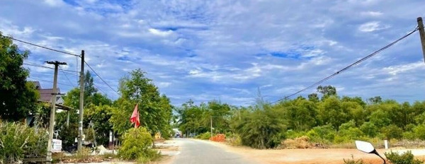 Cần gấp chữa bệnh bán mảnh đất, 114 m2 giá rẻ từ 720 triệu vị trí đặt ngay tại Huyện Phú Lộc, Tỉnh Thừa Thiên Huế-03