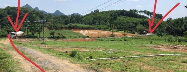 Ở Thường Xuân, Thanh Hóa bán đất 239 triệu có diện tích khoảng 120m2-03