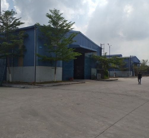 Hiện tại tôi cho thuê kho bãi dt thực là 1500 m2 vị trí mặt tiền tọa lạc gần An Bình, Đồng Nai giá thuê cực mềm 82.5 triệu/tháng khu vực dân cư