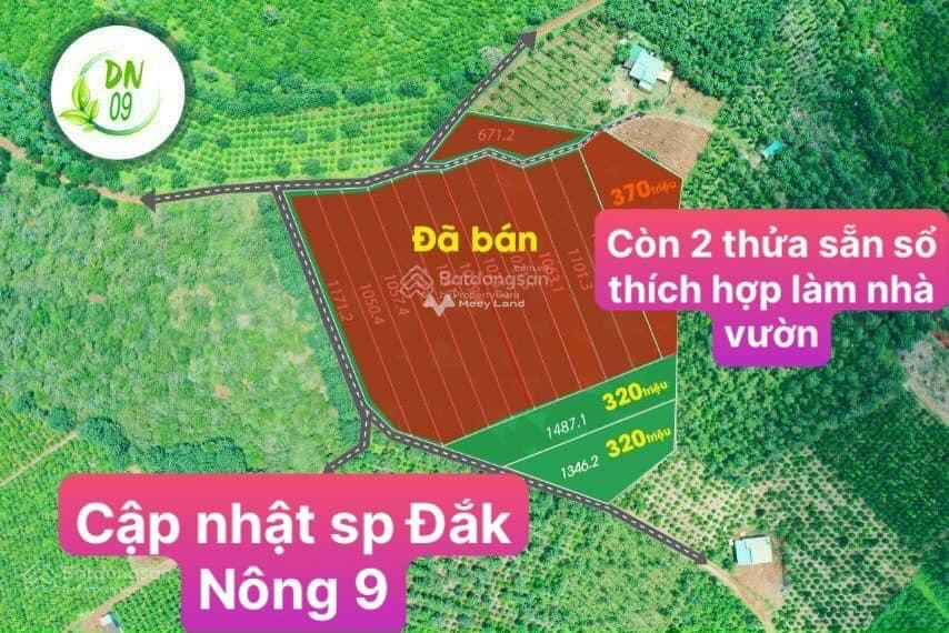 Vị trí thích hợp Quảng Tân, Đắk Nông bán đất, giá sang tên chỉ 320 triệu với diện tích là 1487m2-01