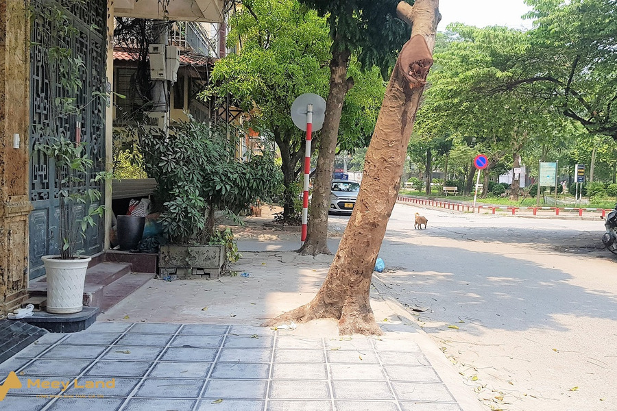 Nhà phố phân lô Trần Quang Diệu, vỉa hè 3m ô tô tránh, ở, kinh doanh thang máy, 70m2-01