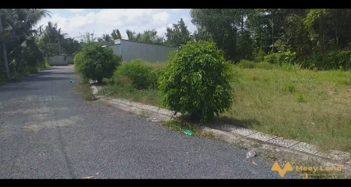 Bán đất nền cách quốc lộ 1A khoảng 500m - Tiền Giang