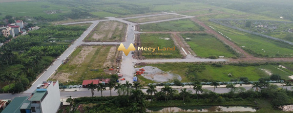 Bán đất với tổng dt 100 m2 vị trí thuận lợi nằm trên Xã Xuân Lâm, Huyện Thuận Thành tin chính chủ-03