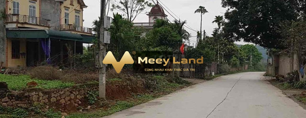 Hồ Chí Minh, Hà Nội bán đất giá bán bàn giao 13.5 tỷ có diện tích 2260m2-03