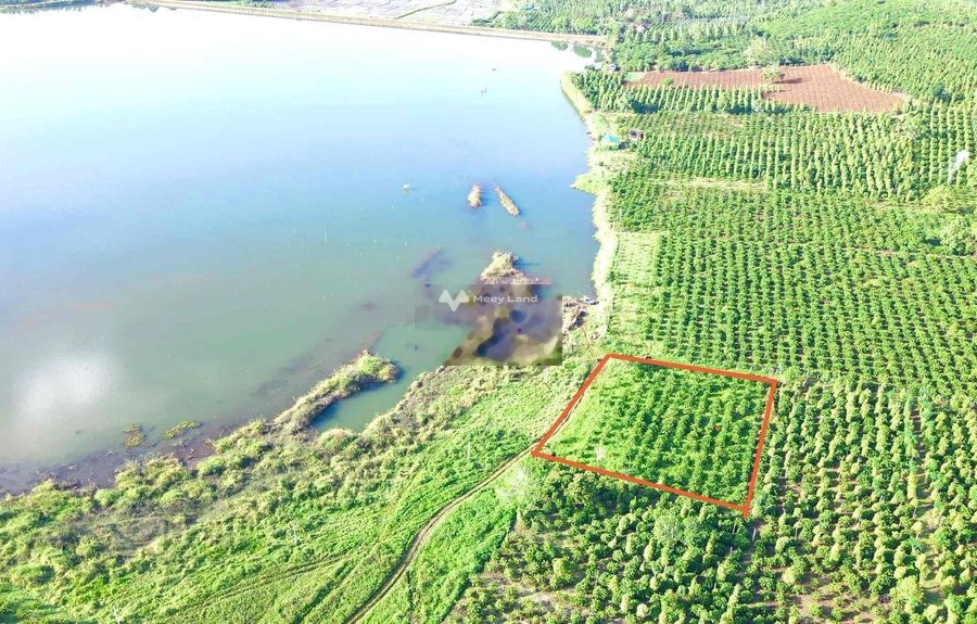 Khoảng từ 370 triệu bán đất diện tích vừa phải 2300m2 mặt tiền tọa lạc trên Thuận An, Đắk Nông-01