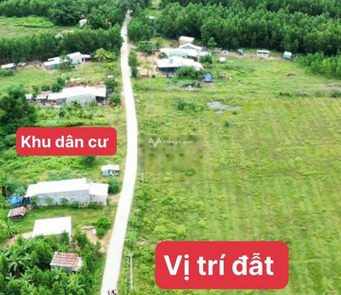 Tại Khánh Hiệp, Khánh Hòa bán đất 170 triệu có diện tích là 100m2-01