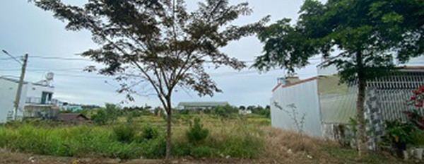 Chính chủ bán gấp đất full thổ cư sổ hồng riêng tại Capital Lộc Sơn, Bảo Lộc-02