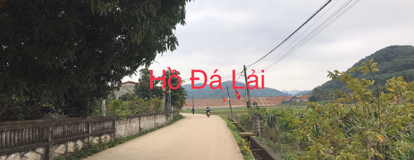 Bán lô đất 290m2 xã Phú Long, Nho Quan, Ninh Bình gần khu du lịch Hồ Đá Lải, sổ đỏ chính chủ-02