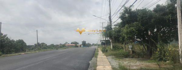 Đường Nguyễn Chí Thanh, Xã Tân Bình bán đất giá mua ngay chỉ 3.3 tỷ, hướng Đông Nam với tổng diện tích 700 m2-03