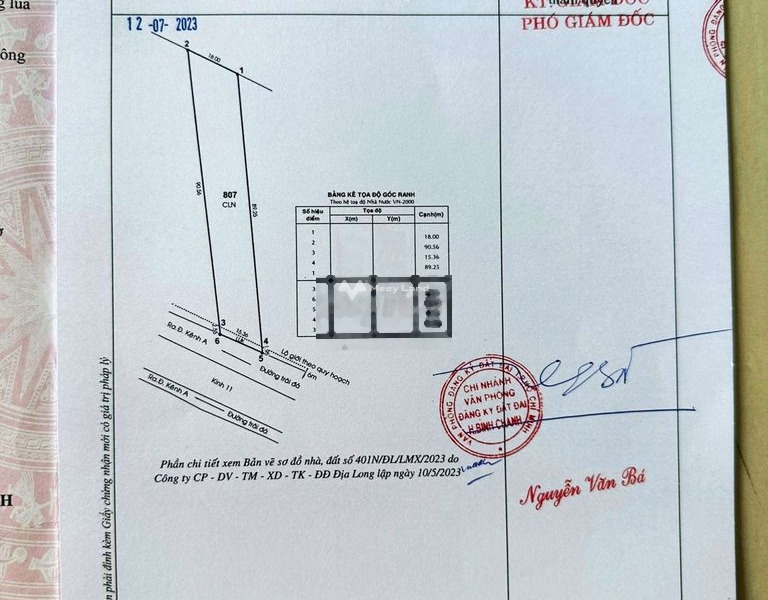 Khoảng từ 13.5 tỷ bán đất diện tích thực khoảng 8903m2 vị trí đặt nằm tại Kinh 11, Bình Chánh-01