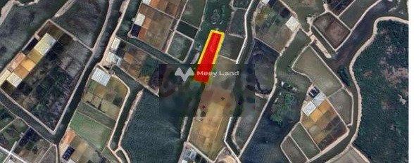 Lý Nhơn, Hồ Chí Minh bán đất giá gốc 3.2 tỷ diện tích là 4640m2-03