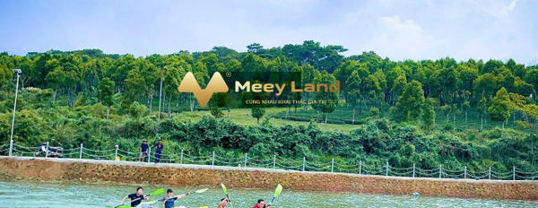 Lộc Tân, Lâm Đồng 550 triệu bán đất có diện tích là 100 m2-02