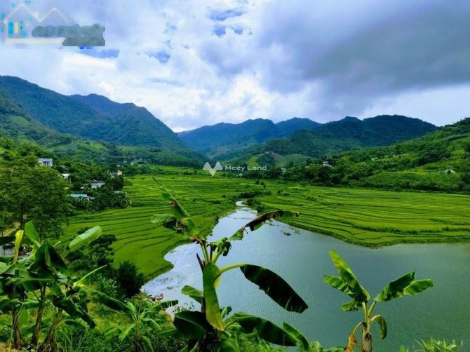 Ngay Cao Phong, Hòa Bình bán đất 4.2 tỷ có diện tích chính 3678m2-01