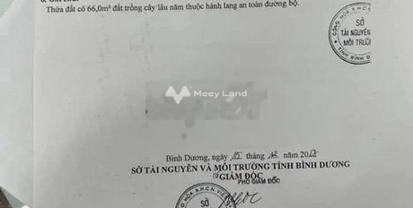 700 triệu bán đất diện tích là 234m2 vị trí đẹp tọa lạc ngay trên Tân Định, Bình Dương-02