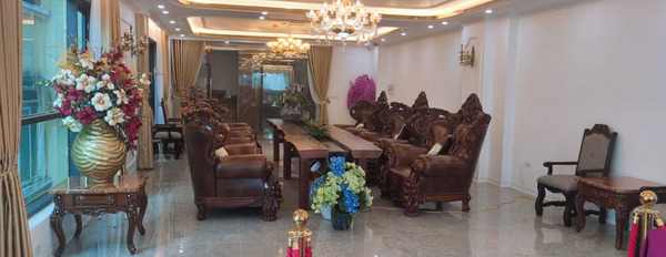Chính chủ bán nhà biệt thự làng Quốc Tế Thăng Long Cầu Giấy vỉa hè ô tô thông 200m2, giá 43 tỷ-03