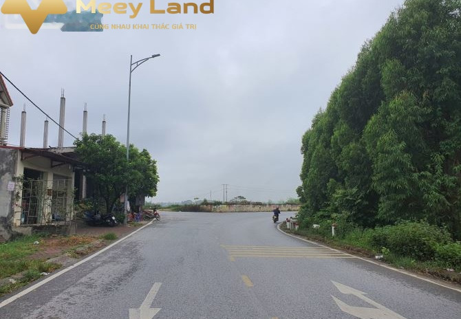 Tỉnh Lộ 286, Bắc Ninh bán đất giá mềm 2.66 tỷ có tổng dt 82 m2