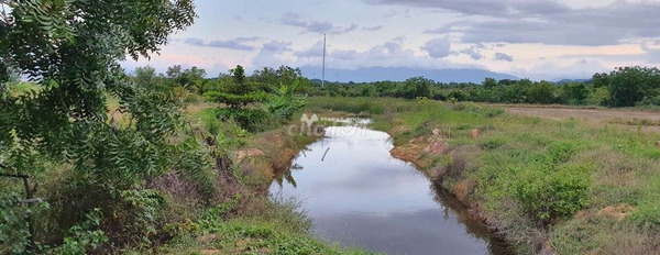 Phước Thái, Ninh Phước bán đất giá bán êm chỉ 3.4 tỷ, hướng Tây Bắc Diện tích nền 15000m2-03