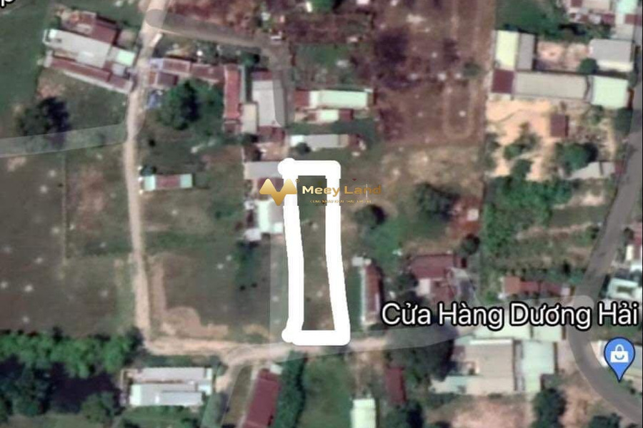 Bán đất 225m2, ngay Đường 3/2, Huyện Đức Hòa, hướng Đông-01