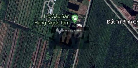 Bình Chánh, Hồ Chí Minh cho thuê đất thuê ngay với giá từ 11 triệu/tháng có diện tích rộng 14000m2-03